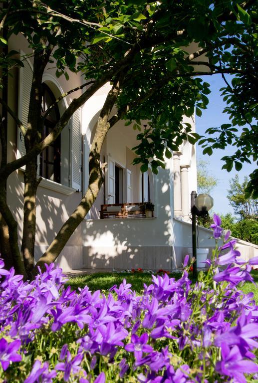 La Coralia B&B Massa  Exteriör bild